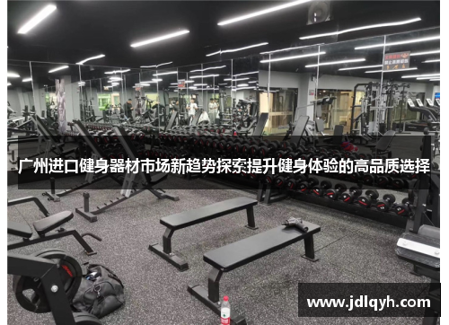 广州进口健身器材市场新趋势探索提升健身体验的高品质选择