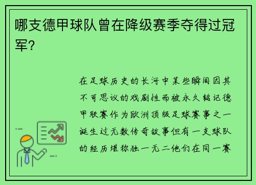 哪支德甲球队曾在降级赛季夺得过冠军？