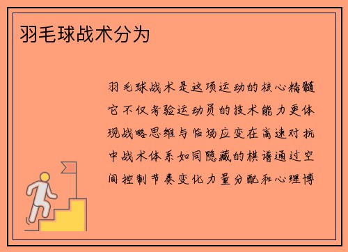 羽毛球战术分为